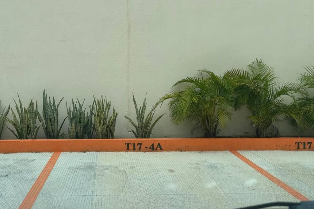 Departamento Nuevo Con Alberca En Cancún